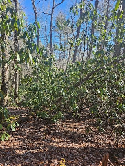 Farm and Ranch for sale in Jackson County, North Carolina