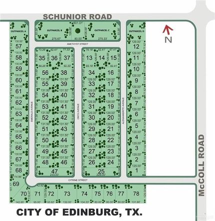 Hunting Property for sale in Hidalgo County, Texas