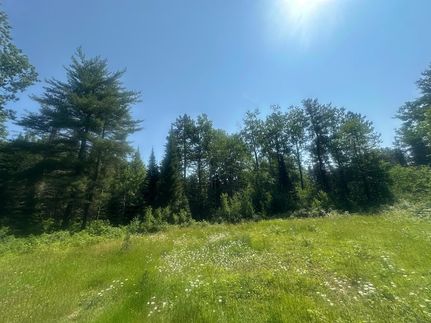 Homesite for sale in Vilas County, Wisconsin