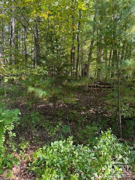 Recreational Property for sale in Greene County, New York