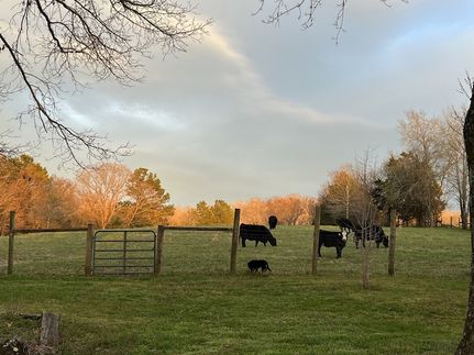 Recreational Property for sale in Hickman County, Tennessee