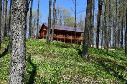 Farm and Ranch for sale in Dickinson County, Michigan