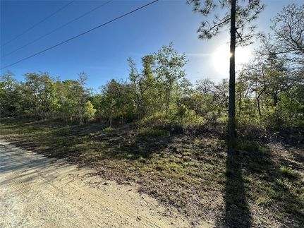 Homesite for sale in Hernando County, Florida