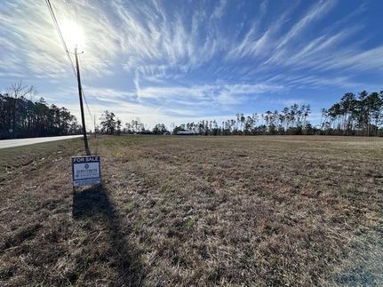 Undeveloped Land for sale in Montgomery County, Georgia