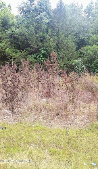Hunting Property for sale in Madison County, Tennessee