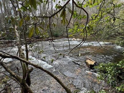 Lakefront Property for sale in Lumpkin County, Georgia