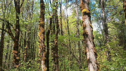 Farm and Ranch for sale in Lewis County, Washington