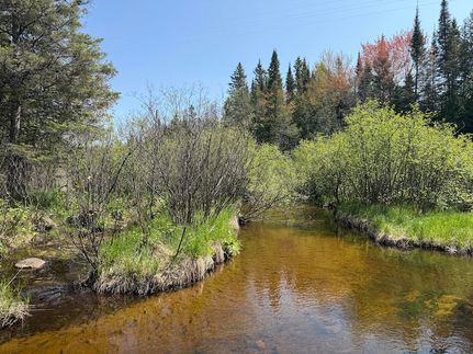 Land for sale in Chippewa County, Michigan