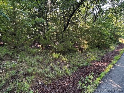 Undeveloped Land for sale in Camden County, Missouri