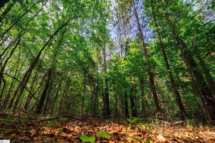 Recreational Property for sale in Greenville County, South Carolina