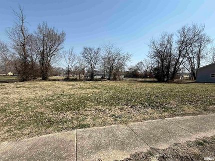 Undeveloped Land for sale in Williamson County, Illinois