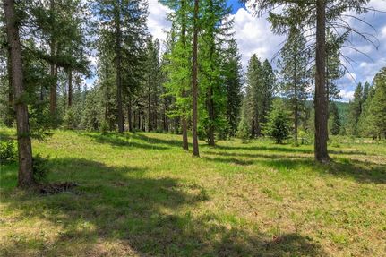Commercial Property for sale in Mineral County, Montana