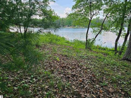 Undeveloped Land for sale in Iosco County, Michigan