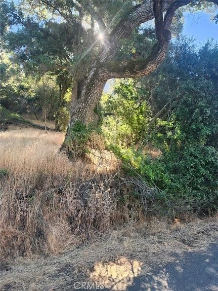 Timberland Property for sale in El Dorado County, California
