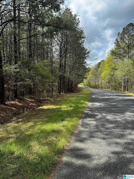 Undeveloped Land for sale in Jefferson County, Alabama