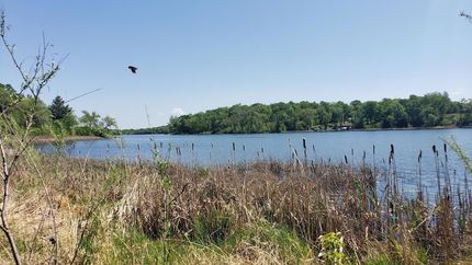 Lakefront Property for sale in Otter Tail County, Minnesota