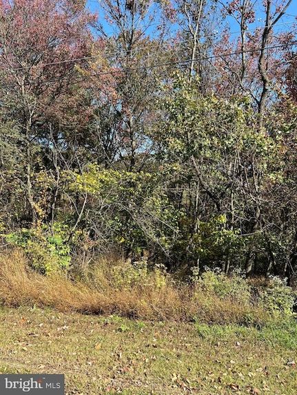Undeveloped Land for sale in Schuylkill County, Pennsylvania