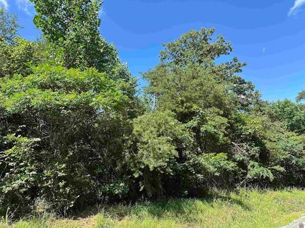 Land for sale in Caldwell County, Kentucky