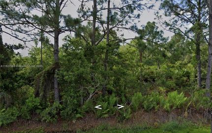Homesite for sale in Highlands County, Florida