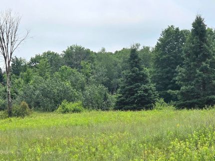 Land for sale in Chippewa County, Michigan