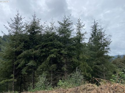 Recreational Property for sale in Lane County, Oregon