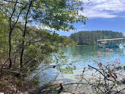 Recreational Property for sale in Oconee County, South Carolina
