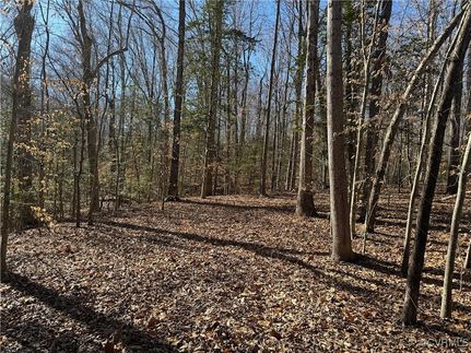 Recreational Property for sale in Surry County, Virginia