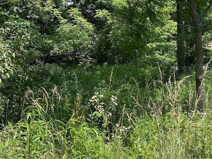 Farm and Ranch for sale in Tazewell County, Virginia