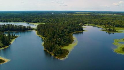 Farm and Ranch for sale in Beltrami County, Minnesota