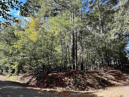 Land for sale in Chesterfield County, South Carolina