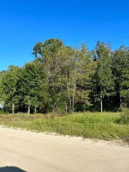 Homesite for sale in Leon County, Florida