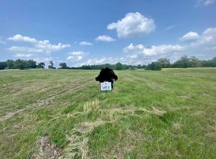 Undeveloped Land for sale in Upshur County, Texas