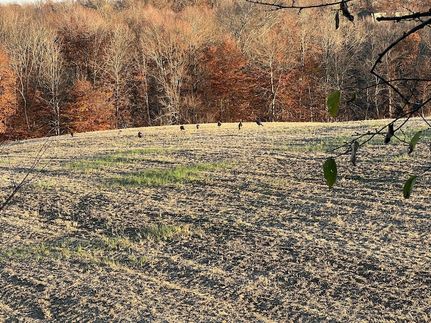 Recreational Property for sale in Perry County, Ohio