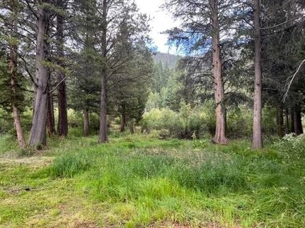 Farm and Ranch for sale in Mono County, California