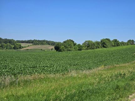 Undeveloped Land for sale in Otter Tail County, Minnesota