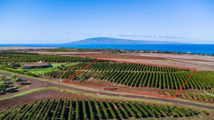 Timberland Property for sale in Maui County, Hawaii