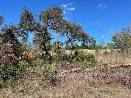 Timberland Property for sale in Pasco County, Florida
