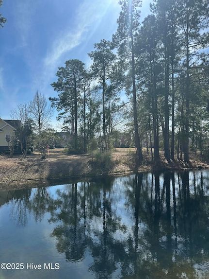 Farm and Ranch for sale in Brunswick County, North Carolina