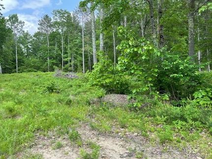 Farm and Ranch for sale in Carroll County, New Hampshire