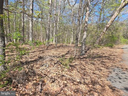 Timberland Property for sale in Prince Georges County, Maryland