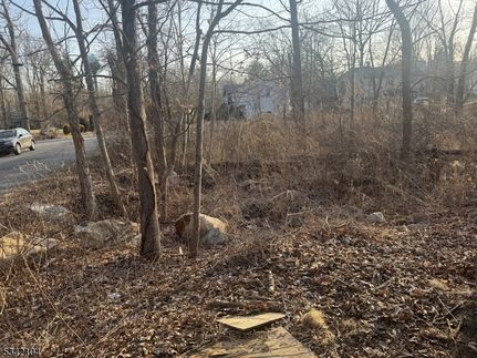 Timberland Property for sale in Sussex County, New Jersey