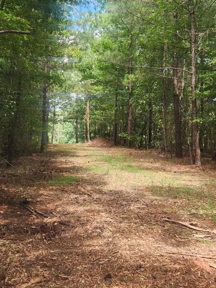 Land for sale in Monroe County, Georgia