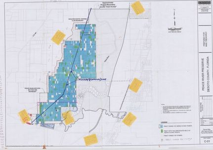 Farm and Ranch for sale in DeSoto County, Florida