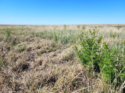 Hunting Property for sale in Kiowa County, Colorado