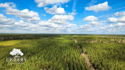 Farm and Ranch for sale in Long County, Georgia