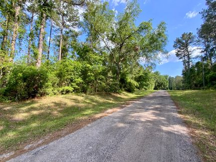 Land for sale in Madison County, Florida