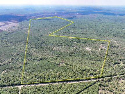 Timberland Property for sale in Walker County, Texas