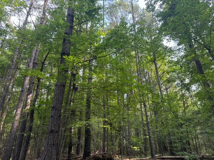 Hunting Property for sale in Grant Parish, Louisiana