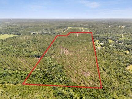 Undeveloped Land for sale in Nassau County, Florida