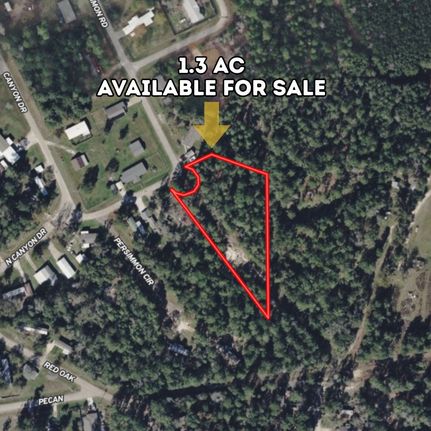 Undeveloped Land for sale in Polk County, Texas
